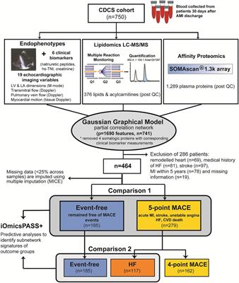 An integrated signature of extracellular matrix proteins and a diastolic function imaging parameter predicts post-MI long-term outcomes